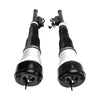 2011/02-2013/12 Benz S-Klasse Coupe C216 CL 500 4matic 2x Rear Shock Strut Absorbers 2213202113 2213205813